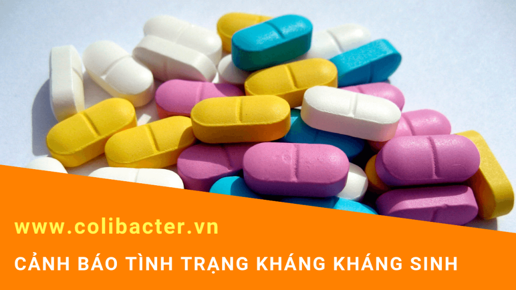 tình trạng kháng kháng sinh